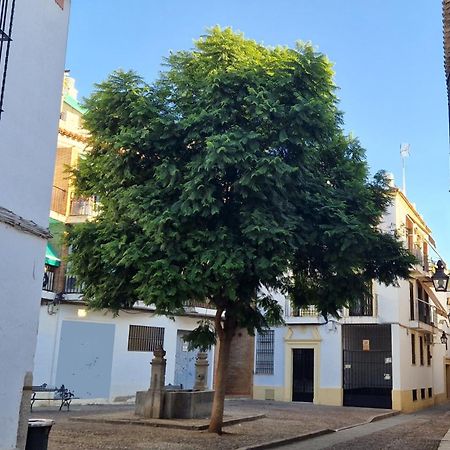 شقة Terraza De La Axerquia قرطبة المظهر الخارجي الصورة