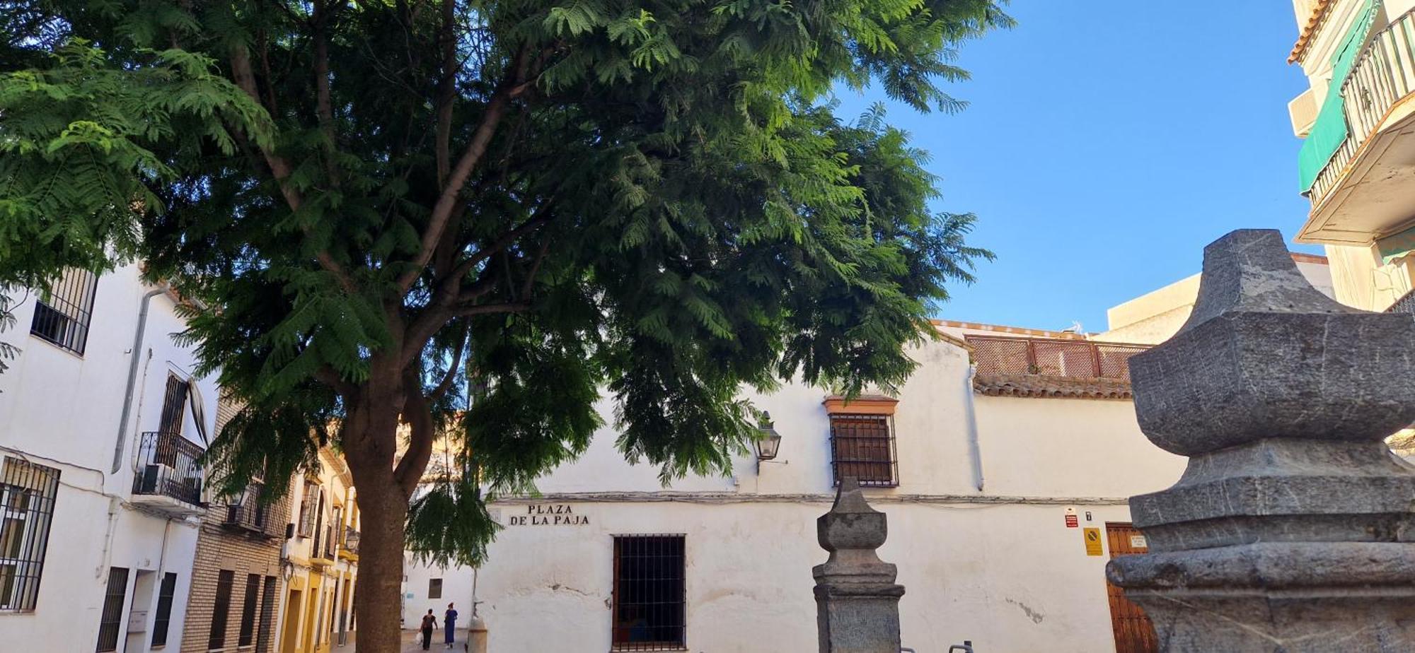 شقة Terraza De La Axerquia قرطبة المظهر الخارجي الصورة